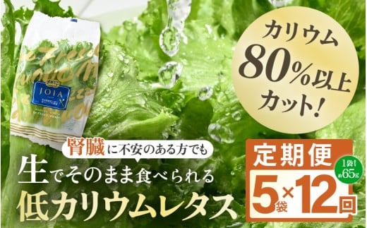 定期便 ≪12ヶ月連続お届け≫ 【機能性×美味しさ】低カリウム水耕レタス JOIA（ジョイア） 約65g×5袋（栽培期間中農薬不使用・洗わず食べられる）　【野菜 生野菜 レタス サラダ お弁当 水耕栽培 洗わず食べられる 時短 付け合わせ】[m40-g001]