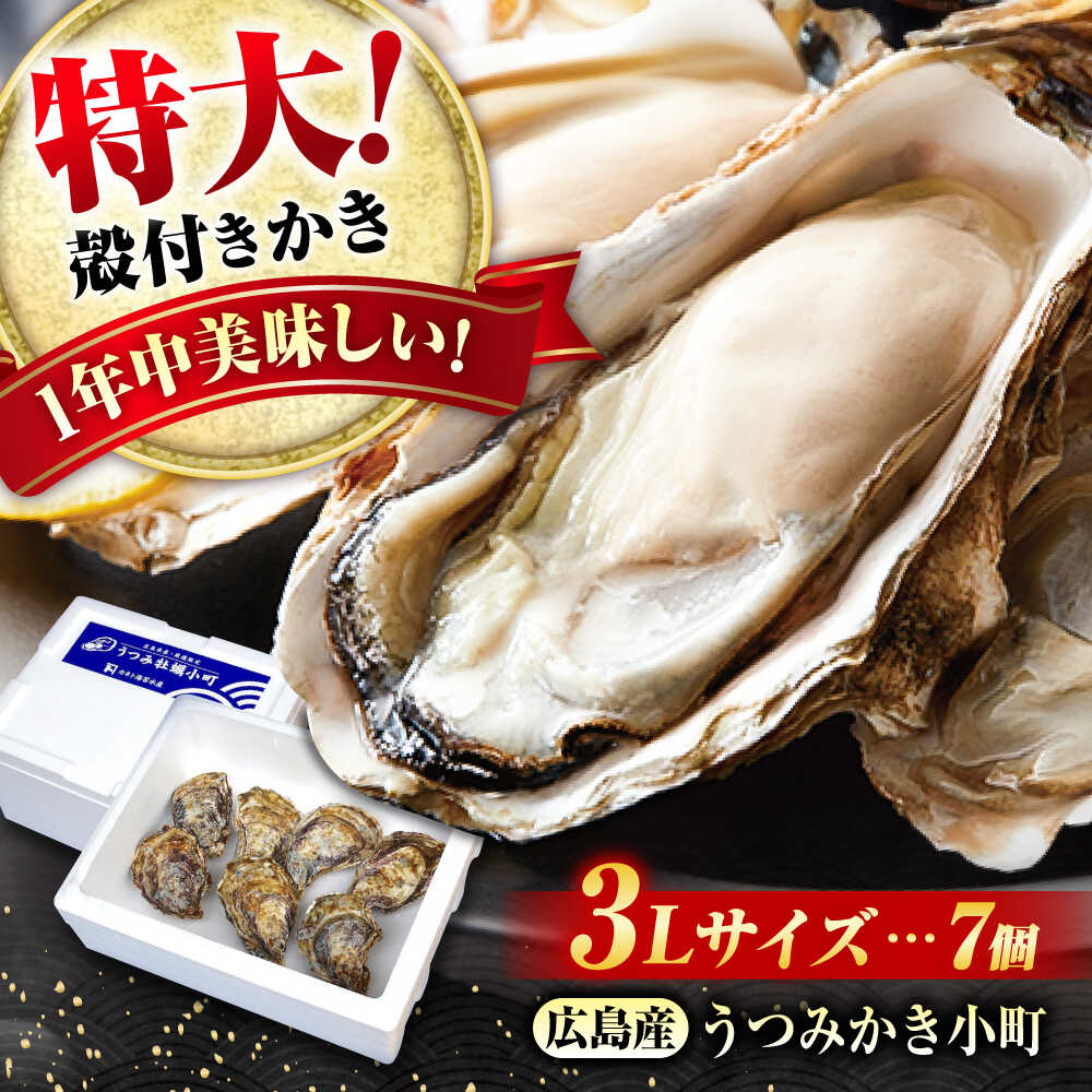 【ふるさと納税】貝類 【冷蔵】 うつみかき小町殻付き 3Lサイズ×7個 広島県福山市/カネト海苔水産株式会社 牡蠣 かき 殻付 焼き牡蠣 うつみかき小町 かき小町[BAAQ006]