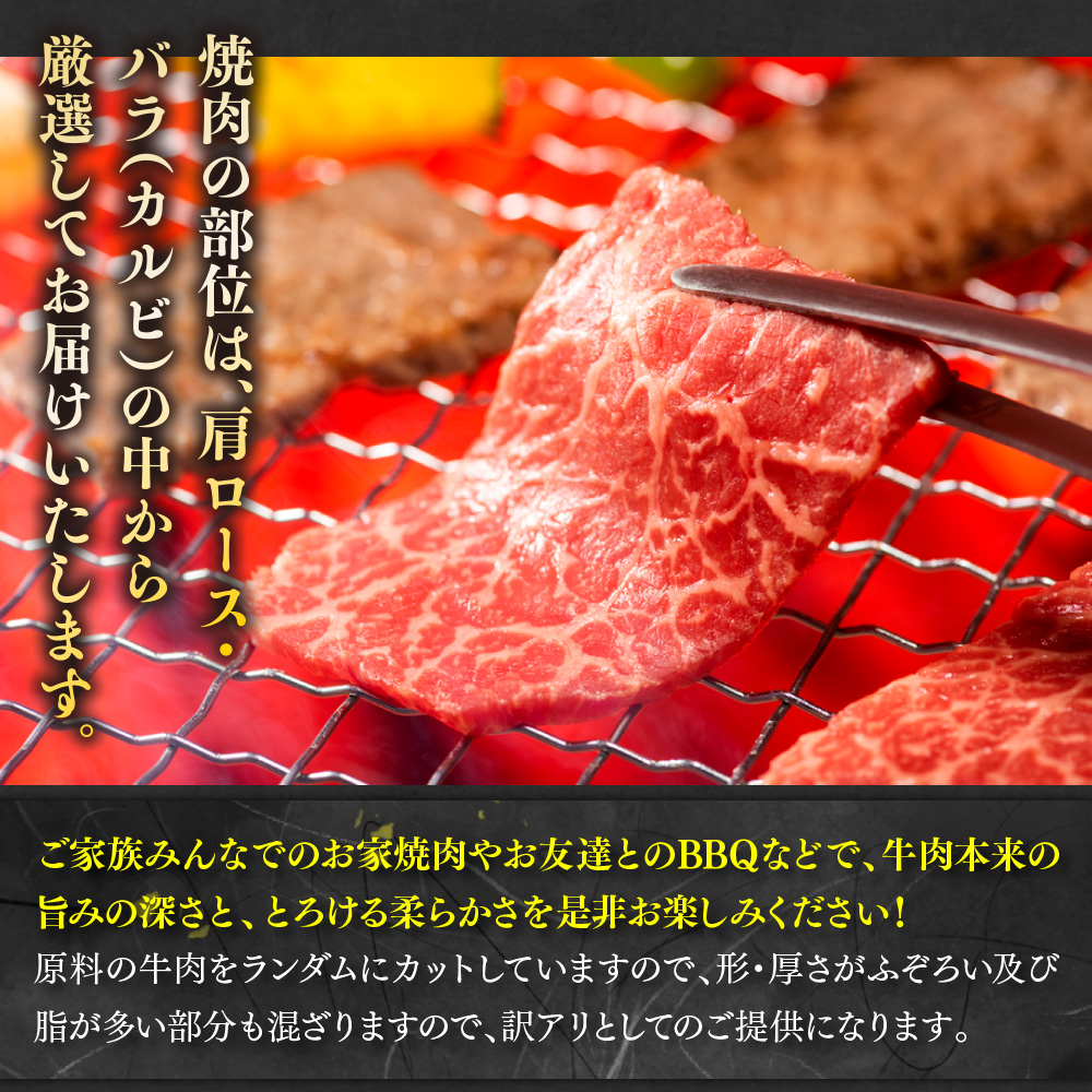 【毎月定期便】訳あり!【A4〜A5】博多和牛焼肉切り落とし 500g 全6回　AO090