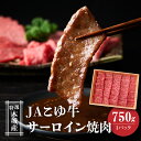 【ふるさと納税】JAこゆ牛 特選木城産 サーロイン 750g 焼肉用 - 1パック お肉 牛肉 冷凍配送 国産黒毛和牛 ローカルブランド JAこゆ牛 希少 焼き肉用カット A5/A4 送料無料 【宮崎県木城町】