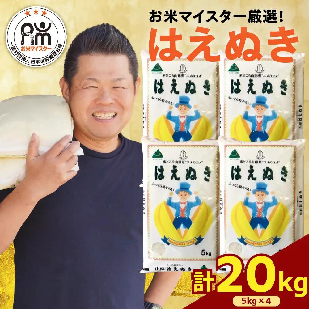 先行予約 令和8年産 はえぬき 20kg 精米 山形