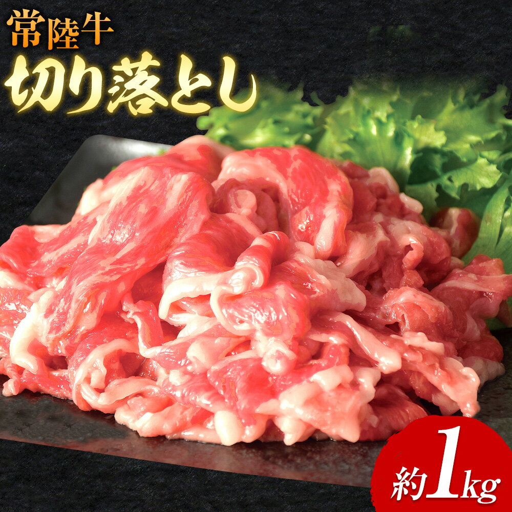 【ふるさと納税】常陸牛 切り落とし 500g × 2パック 1kg ワークミート《30日以内に出荷予定(土日祝除く)》茨城県 河内町 常陸牛 和牛 切り落とし 焼肉 牛丼 肉じゃが 牛肉 牛 1000g