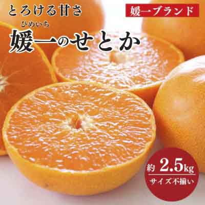 【先行受付】愛媛の柑橘の代名詞!「せとか」約2.5kg入【C28-40】【1437356】 YWTN027