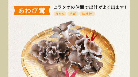 【 3ヶ月連続定期便 】きのこ の 詰め合わせ Lサイズ ( 約2kg ) （茨城県共通返礼品：城里町）