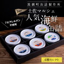 【ふるさと納税】黒潮町からの贈り物！わくわく缶詰セット／ホテルのマルシェで販売している、売れ筋上位6種類の缶詰を詰め合わせ《7大アレルゲン不使用・完全専用ライン・衛生管理》〈黒潮町共通返礼品〉防災 故郷納税