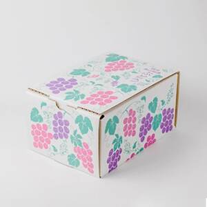 クイーンルージュ＆シャインマスカット　2房セット【配送不可地域：離島】【1436453】