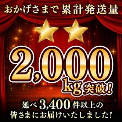 ふるさと納税 鹿嶋市 【2週間毎定期便】KASHIMA12 ビターブレンド コーヒー豆 計1kg(各回500g)豆 全2回 |  | 02