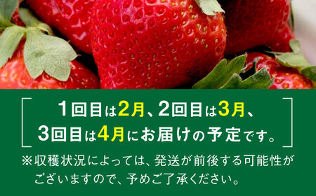 【全3回定期便】農家直送 朝どり新鮮いちご【博多あまおう】約270×2パック＜株式会社H&Futures＞ 那珂川市 定期便 フルーツ定期便 いちご定期便 いちご フルーツ くだもの 果物 あまおう 