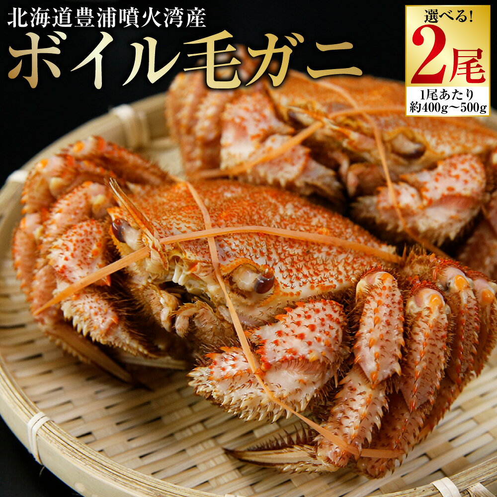 【ふるさと納税】【地元現役漁師が厳選！！】【令和8年度発送先行予約】ボイル・毛ガニ ＜選べる内容量＞ 1尾あたり450g前後 / 400g前後 / 約500g ボイル 毛ガニ カニ 蟹 かに 海産物 水産物 噴火湾 冷凍 北海道産 国産 北海道 豊浦町 送料無料
