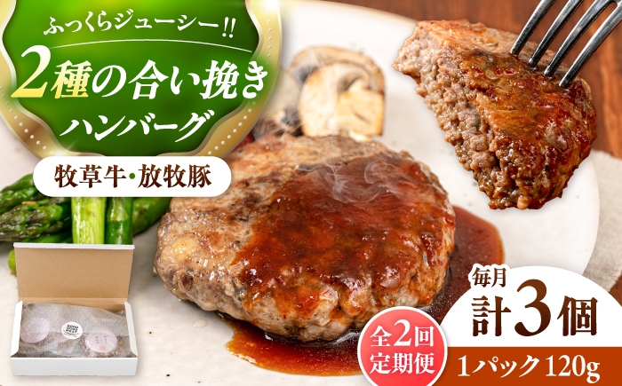 
                  【全2回定期便】　【牧草牛×放牧豚】ハンバーグ 3個 《厚真町》【GOODGOOD株式会社】 ハンバーグ 牛肉 豚肉 合い挽き 小分け 冷凍配送 北海道 [AXBP022]
                