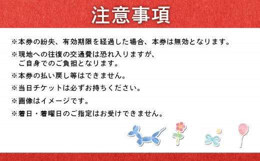 世界チャンピオンから教わるバルーンアート体験チケット(１組分)