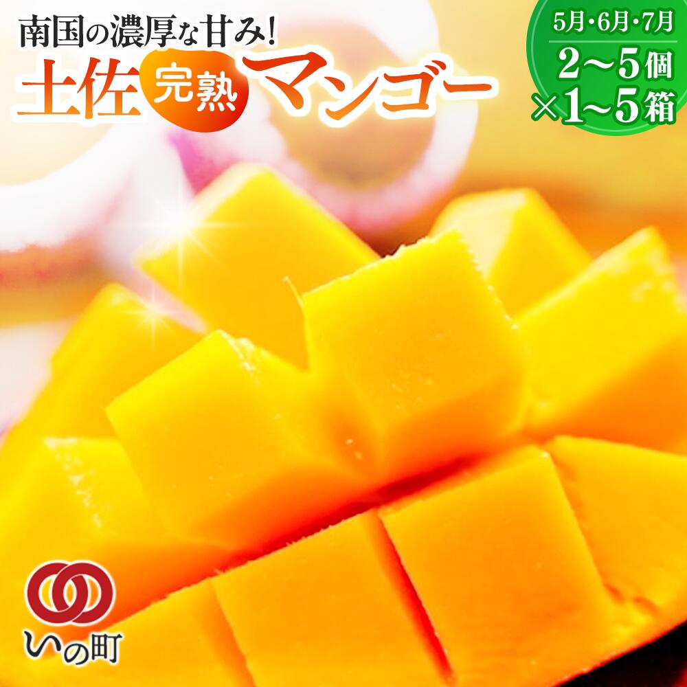 【ふるさと納税】かおる・とろける！土佐マンゴー(2〜5個)×1箱/2箱/3箱/4箱/5箱 完熟 予約受付 フルーツ 特産品 産地直送 送料無料 期間限定 数量限定 美味しい おすすめ 5月 6月 7月 8月