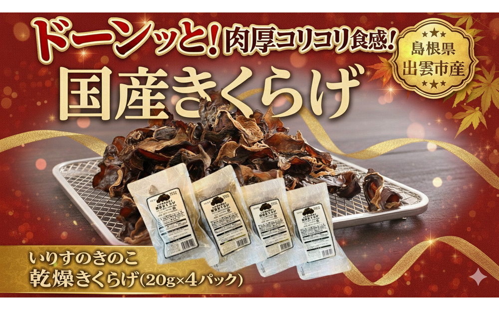 いりすのきのこ　乾燥きくらげ（20g×4パック） 322032_FL002