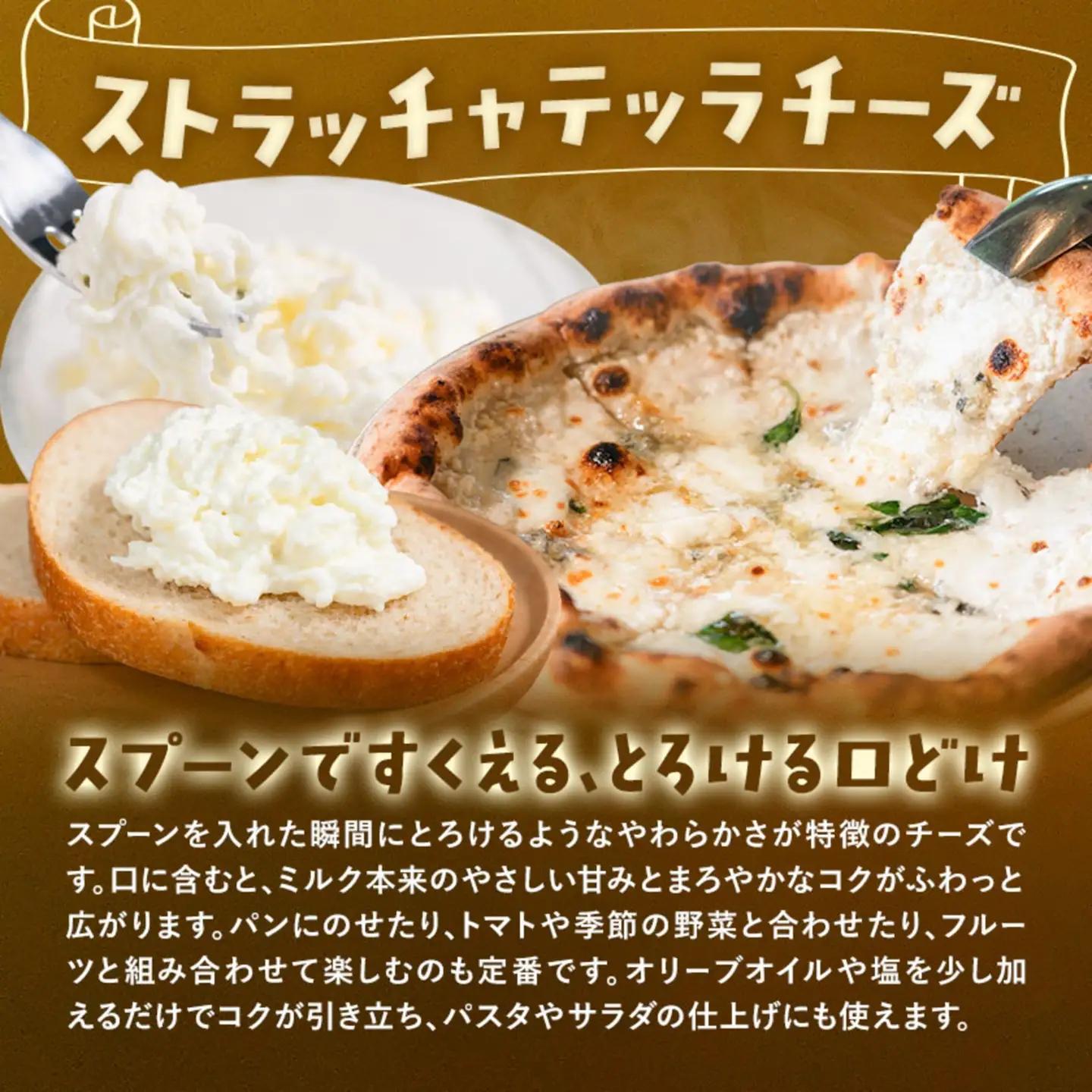 産山チーズセット モッツァレラチーズ ストラッチャテッラチーズ 株式会社UBUYAMAPLACE 2個セット《30日以内に出荷予定(土日祝除く)》