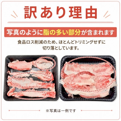 訳あり!この味プレミアム!【A4～A5】博多和牛バラ切り落とし　500g/p(宇美町)【配送不可地域：離島】