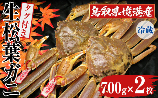 ＜11月中旬～3月中旬発送予定＞＜平日着※指定日不可＞鳥取県境港産 タグ付き生松葉がに(700g×2枚)【sm-BN005-A】【三光水産】