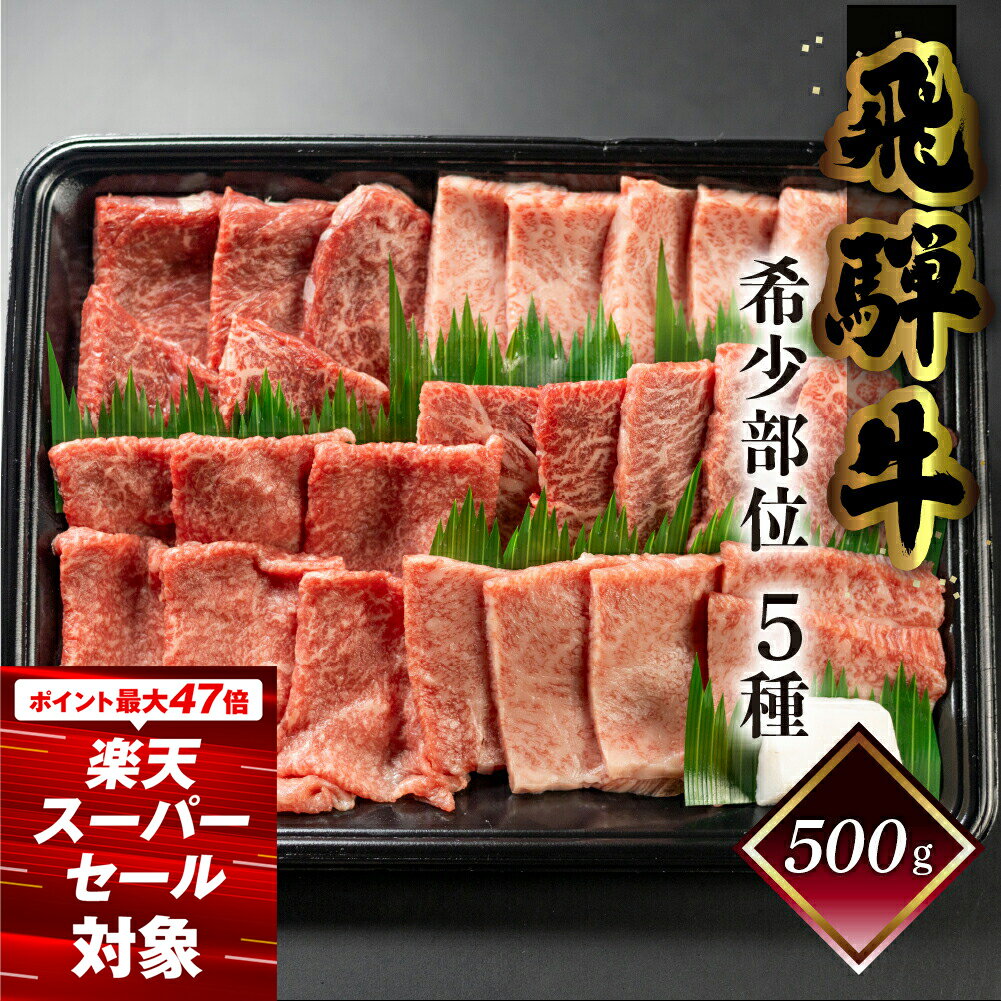 【ふるさと納税】 【数量限定】飛騨牛 希少部位 5種 焼肉 盛り合わせ 計500g 各100g 菊の井 (ラムシン、ボンショー、カイノミ、トモサンカク、シキンボウ) おすすめ 牛肉 肉 和牛 赤身 人気 牛肉セット 肉ギフト 国産 贈答品 焼き肉 ギフト 【冷凍】 25000円 岐阜県 下呂市