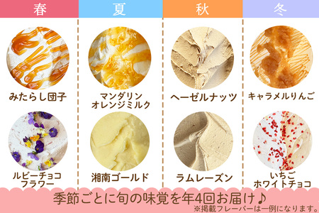 [定期便／約3ヶ月に1回 全4回] 石田牧場のジェラート屋めぐり おまかせ ジェラート 計24個 (6個×4回) [1098]