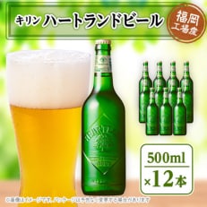 【毎月定期便】キリン ハートランドビール　500ml瓶×12本全3回