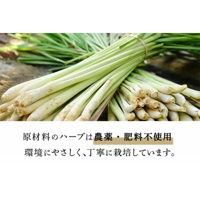 ふるさと納税 伊勢原市 人にも環境にもやさしい HAS ハーブシャンプー [レモングラス]×1本 |  | 01