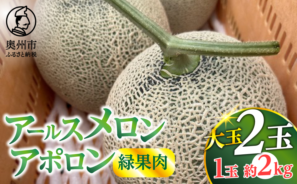 アールスメロン アポロン(緑果肉) 大玉2個 【数量限定】 [CL001]