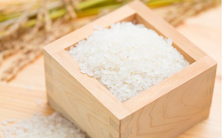 【定期発送】米食味鑑定士厳選 新庄産 つや姫（玄米）5kg【全6回】 山形県 新庄市 F3S-1432