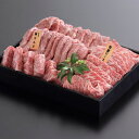 【ふるさと納税】南信州牛焼肉食べ比べセット