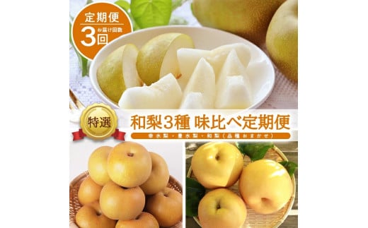 ≪3回定期便≫ 特選 和梨3種 味比べ定期便2026 8月下旬～9月中旬 幸水梨 9月中旬～10月中旬 豊水梨 9月下旬～10月下旬 和梨(品種おまかせ) 各約3kg 計3回 山形県酒田産 2026年 ナシ 食べ比べ 秋 旬 フルーツ 東北 山形県 酒田市 小林青果店　SE0509
