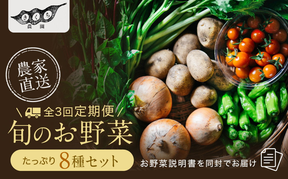 【先行予約 2027年5月より発送】【全3回定期便】農家からお届け！旬のお野菜たっぷり8種セット