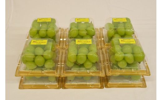 (2025年内発送)青森県今別町産シャインマスカットキューブケース入り粒(約200g×12ケース） 本郷農園