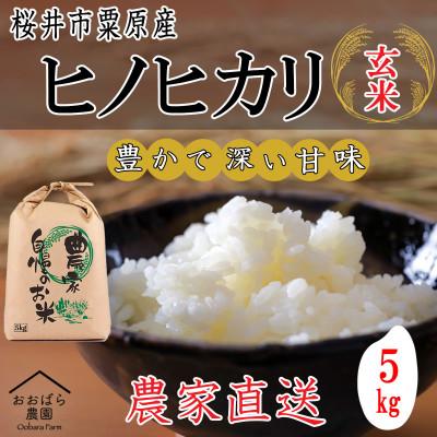 ふるさと納税 桜井市 【玄米】桜井市粟原産ヒノヒカリ  5kg