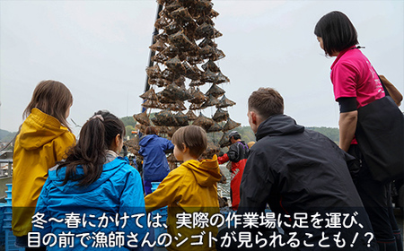 あなたの知らないホタテの世界（3人用）【  ふるさと納税 人気 おすすめ ランキング 体験 イベント ホタテ 見学 養殖 漁師 3人 北海道 豊浦町 送料無料  】 TYUL015