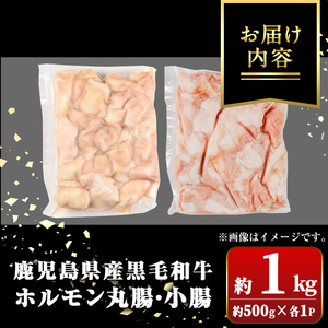 【A01038】鹿児島県産黒毛和牛 ホルモン 小腸 丸腸 セット (計約1kg・約500g×各1P) 鹿児島 国産 九州産 黒毛和牛 牛肉 ホルモン 牛ホルモン 生ホルモン モツ マルチョウ ホルモン