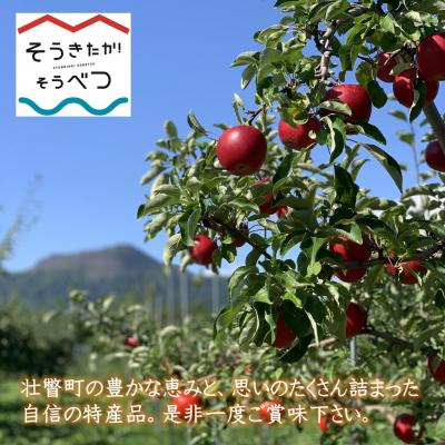 ふるさと納税 壮瞥町 そうべつアップルワイン・スイート500ml×2本 SBTA051 |  | 02