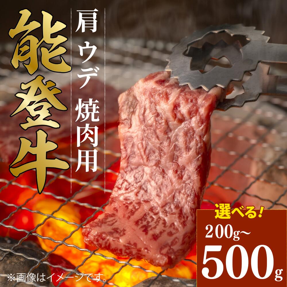 【ふるさと納税】 黒毛和牛 肩 うで 焼肉用 能登牛 500g 300g 200g ギフト 選べる容量 小分け とろける 食感 希少 ギフトボックス 贈答 プレゼント ブランド 和牛 国産 肉 冷凍 石川 羽咋 能登 国産 能登半島 牛 牛肉 焼肉 焼き肉 炒め物 にも 災害支援 復興支援