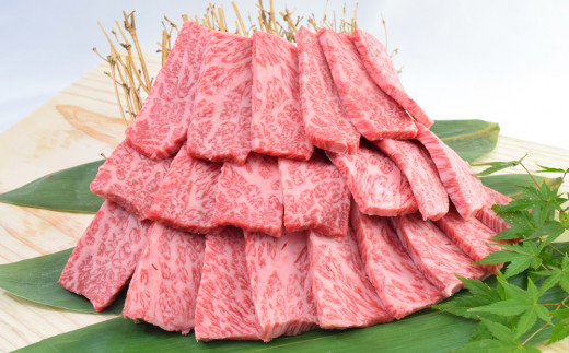 
【焼肉用】「佐賀牛」ロース焼肉用 (500g)
