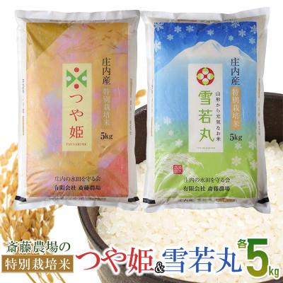 ふるさと納税 鶴岡市 【令和7年産】斎藤農場の特別栽培米 つや姫・雪若丸 各5kg [K-7117]
