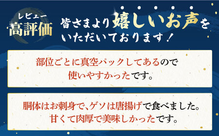 【1週間以内発送】アオリイカ 1kg（2〜4杯） [PEP005]  イカ 水いか 肉厚 いか 小分け 下処理済 冷凍 刺身 真空パックスピード発送 最速発送 最短発送