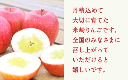 先行予約 りんご 約2.5kg 【 品種 ふじ 】 果物 米崎りんご マルキヨファーム