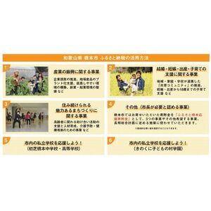【返礼品なし】和歌山県橋本市への応援寄附金(1,000円分)