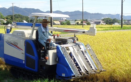 【定期便【令和5年産】】嶺南ファームの嶺岡米「いのちの壱」5kg×6ヶ月　[0090-0003]