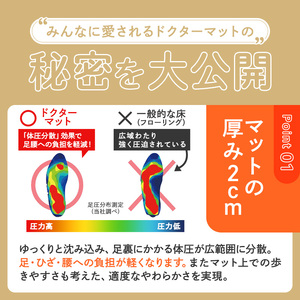キッチンマット ドクターマットS ルージュ キッチンマット