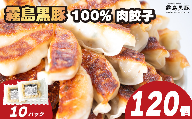 
訳あり 霧島黒豚肉100％ 肉餃子 120個 12個×10パック 冷凍 小分け 冷凍餃子 大容量餃子 国産原料餃子 簡単調理餃子 ぎょうざ ギョーザ（ 肉 豚肉 九州産黒豚 10000円 加工食品 お手軽 簡単調理 惣菜 絶品 おかず 弁当 おつまみ 晩ごはん ) 山口県 下関市 肉特集
