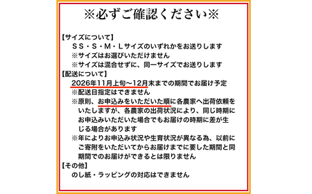 有田みかん「未来への虹」（5kg）(B973-2)