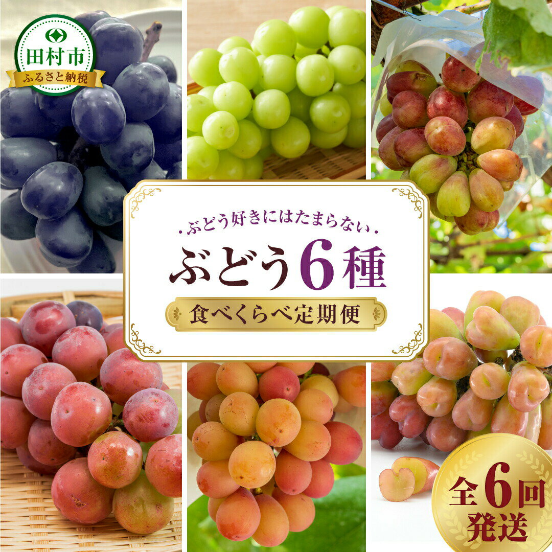 【ふるさと納税】【先行予約 2025年発送】＼ぶどう6種食べくらべ定期便／ 6回発送 冷蔵 高級 種無し 種なし シャインマスカット ぶどう 品種 果物 フルーツ 巨峰 美味しい 希少 人気 福島県 田村市 鈴木農園