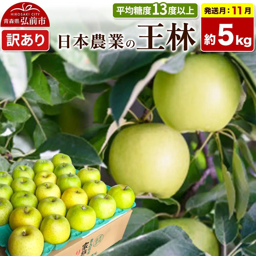【26年11月発送】りんご 王林【訳あり】約5kg 平均糖度13度以上 青森県 弘前市 果物 フルーツ 林檎 リンゴ くだもの 不揃い 規格外