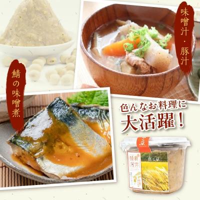 ふるさと納税 南九州市 ヤマガミ「耕雲種月」味噌6個セット |  | 02