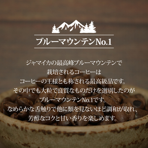 コーヒー豆 【計400g】 2種  コーヒー豆