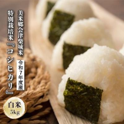 ふるさと納税 喜多方市 令和7年度産　美米郷会津柴城米　特別栽培米コシヒカリ　白米　5kg
