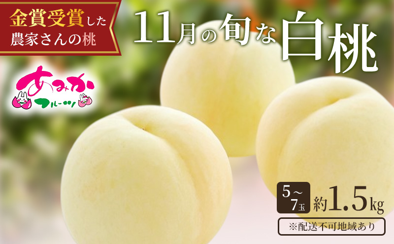 桃 2026年 先行予約 11月の旬な 白桃 冬桃 をお届け！約1.5kg 5～7玉 糖度センサー選果 糖度12度以上 もも モモ 岡山県 赤磐市産 国産 フルーツ 果物 ギフト あみかフルーツ　岡山 旬の桃 少し小ぶり